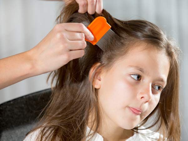 Little girl sitting in a chair having her hair combed by a lice expert, looking for lice.