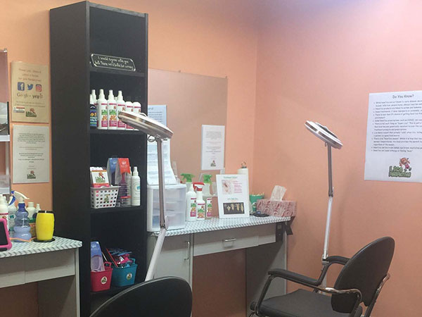 Lice Perspectives workstation, with a salon chair and lamp used to search for head lice.